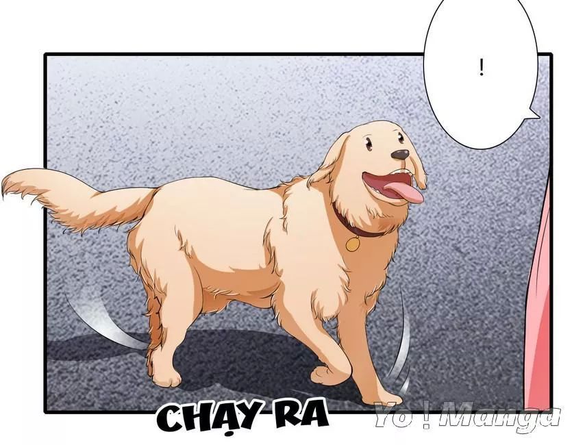 Thiểm Hôn Kinh Ái Chapter 43 - Trang 2