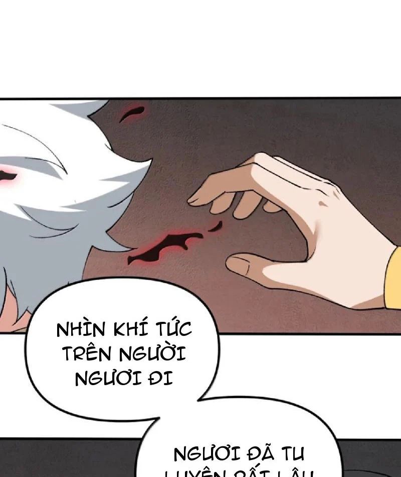 Thiên Đạo Này Cũng Không Ngốc Lắm Chapter 174 - Trang 2