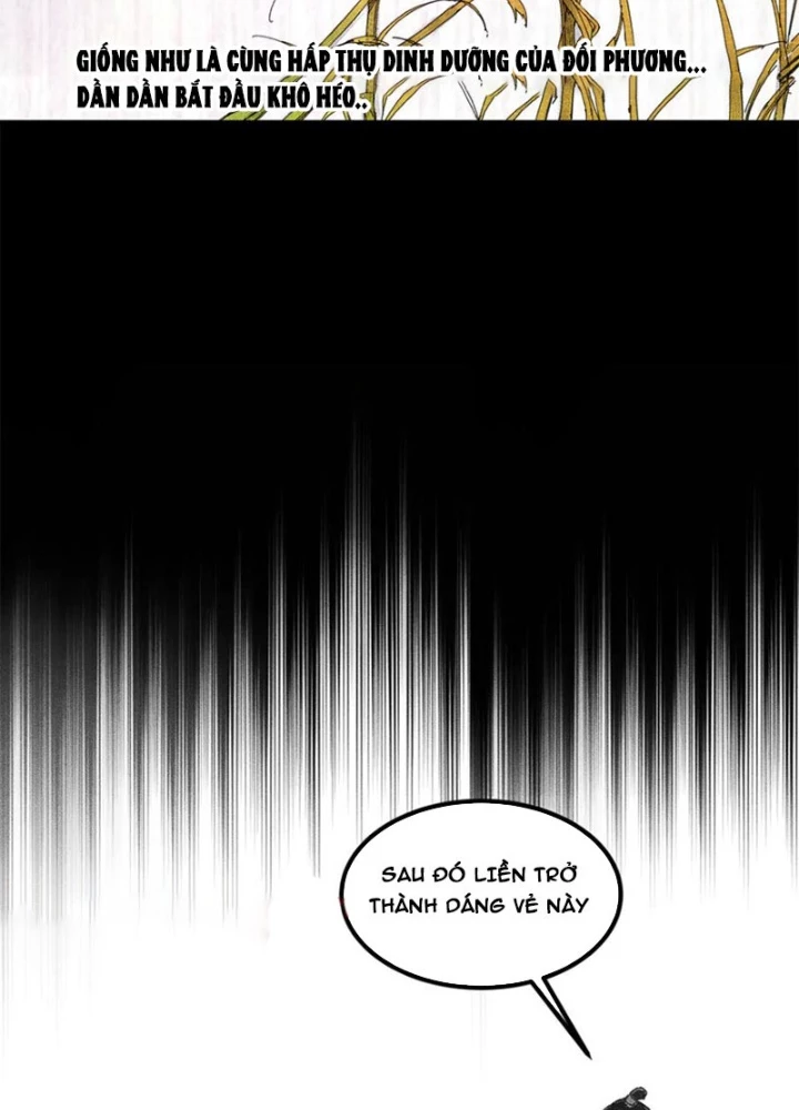 Thiên Hạ Đệ Nhất Lữ Bố Chapter 125 - Trang 2