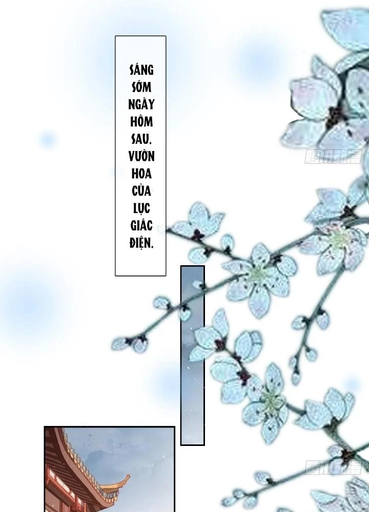 Thiên Hạ Vô Song Chapter 16 - Trang 2