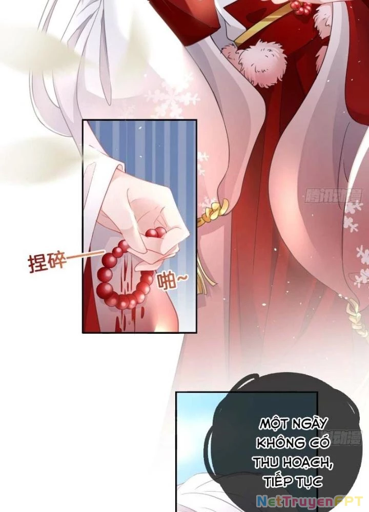 Thiên Hạ Vô Song Chapter 18 - Trang 2