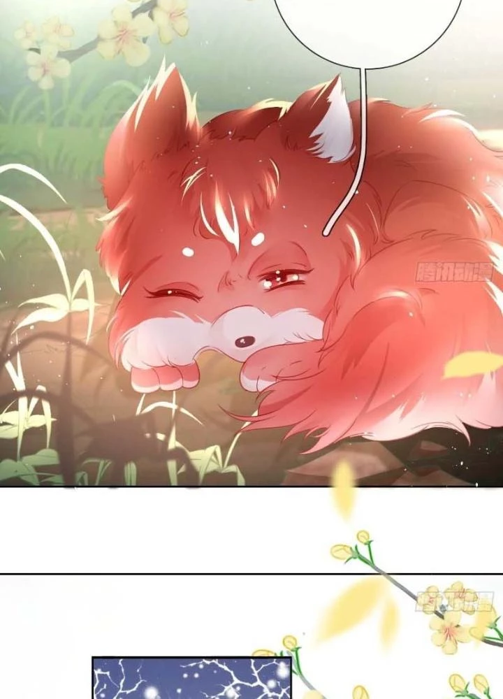 Thiên Hạ Vô Song Chapter 21 - Trang 2