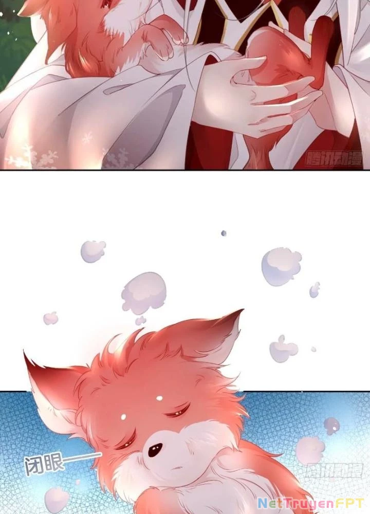 Thiên Hạ Vô Song Chapter 21 - Trang 2