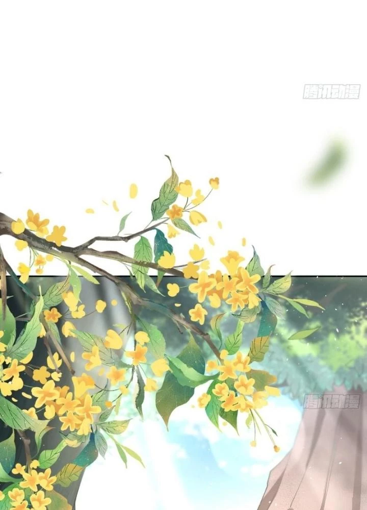 Thiên Hạ Vô Song Chapter 21 - Trang 2