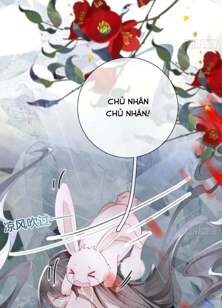 Thiên Hạ Vô Song Chapter 23 - Trang 2
