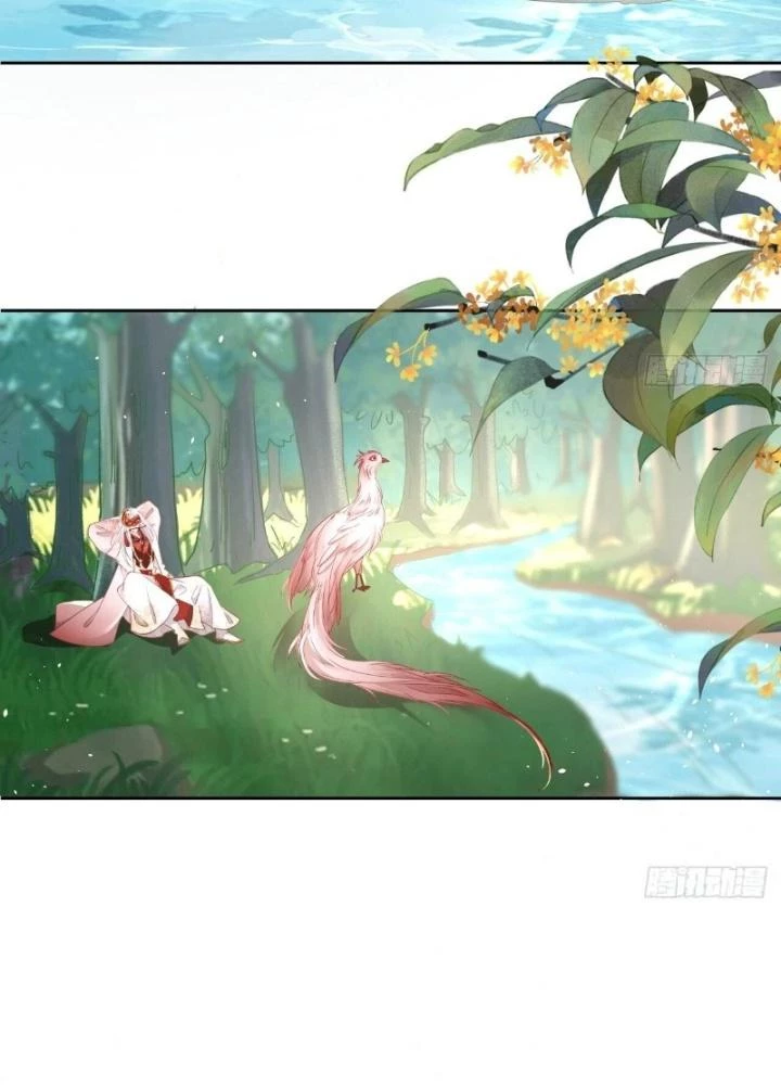 Thiên Hạ Vô Song Chapter 26 - Trang 2