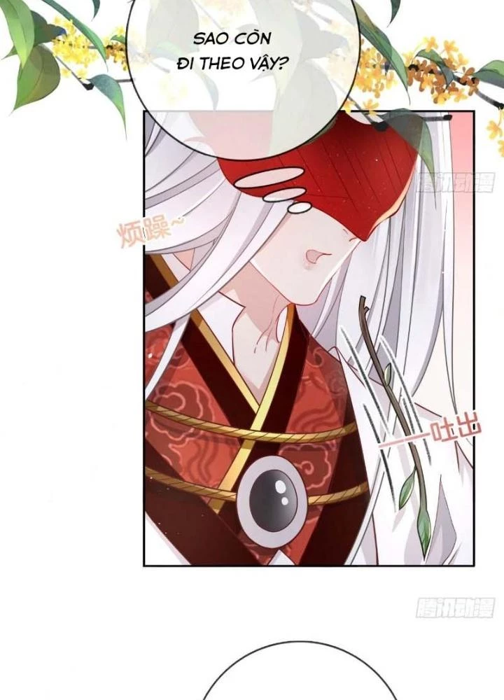 Thiên Hạ Vô Song Chapter 26 - Trang 2