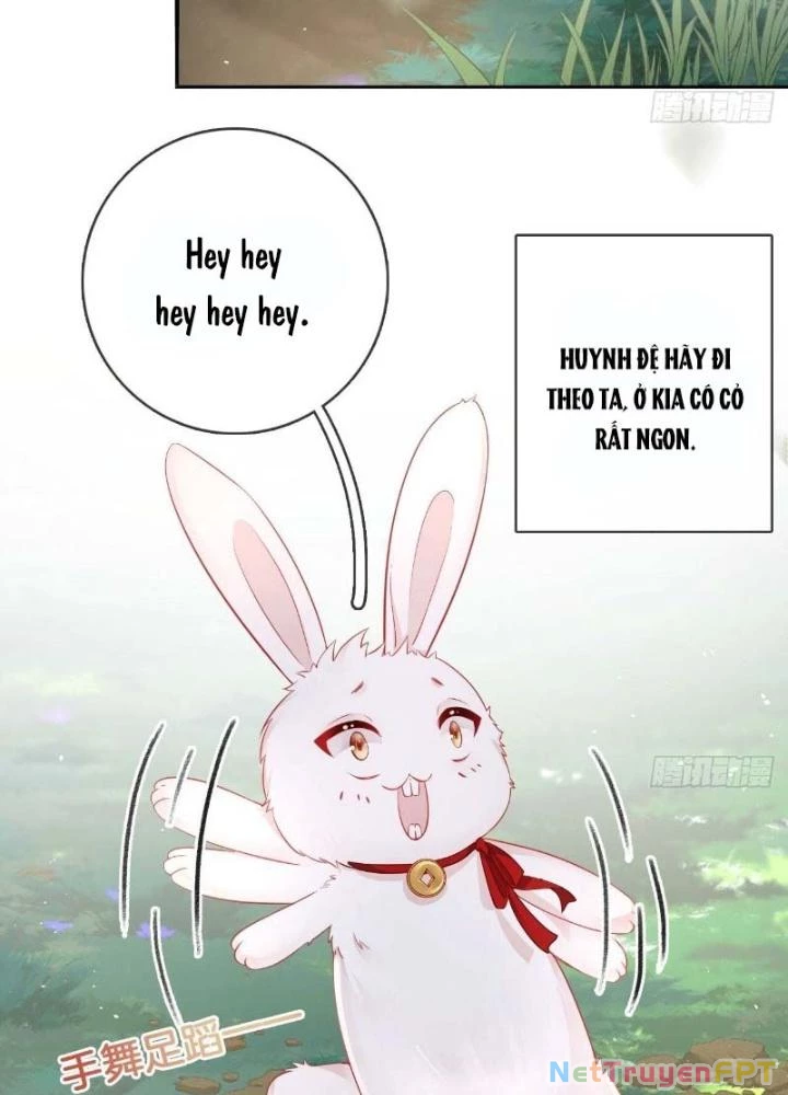 Thiên Hạ Vô Song Chapter 26 - Trang 2