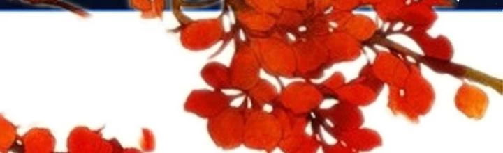 Thiên Hạ Vô Song Chapter 28 - Trang 2