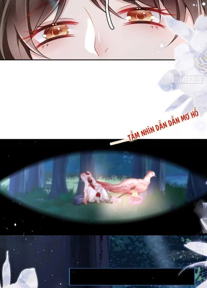 Thiên Hạ Vô Song Chapter 28 - Trang 2