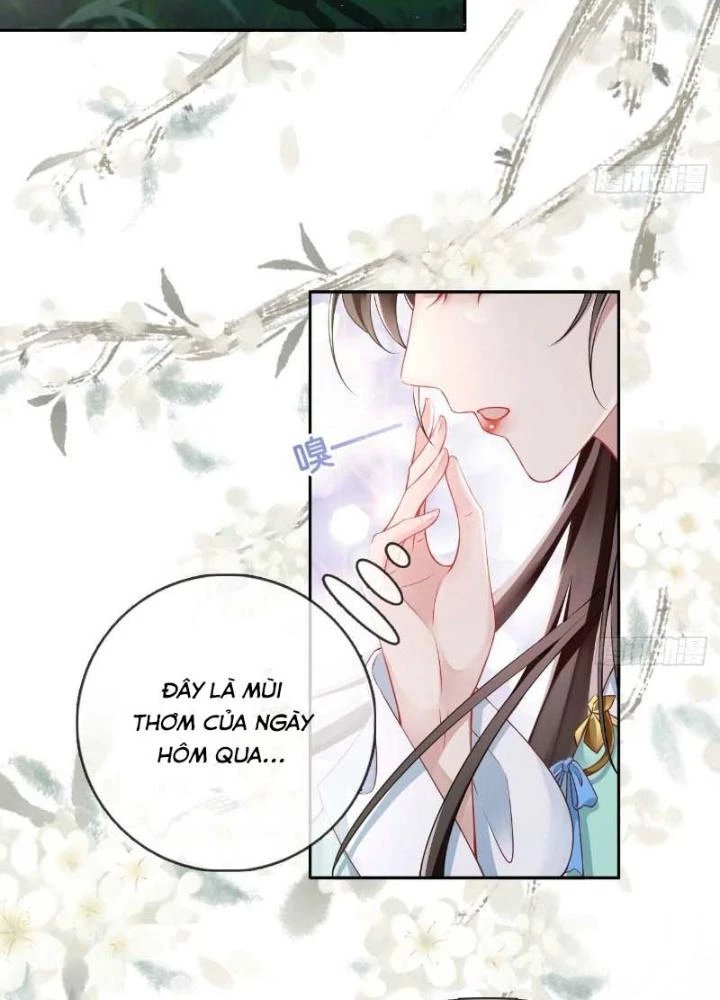 Thiên Hạ Vô Song Chapter 28 - Trang 2