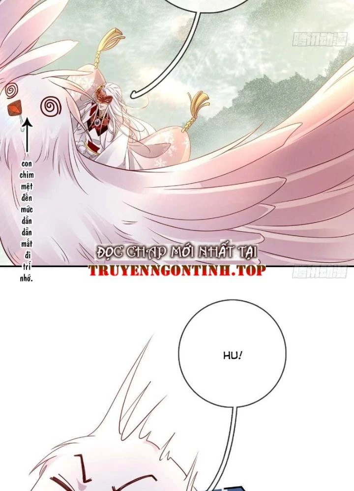 Thiên Hạ Vô Song Chapter 29 - Trang 2