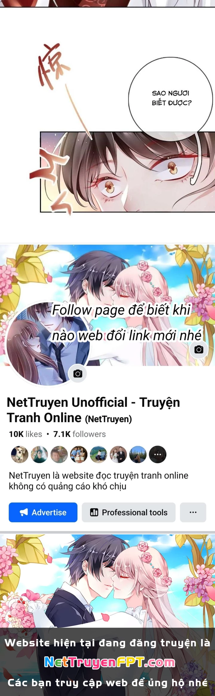 Thiên Hạ Vô Song Chapter 33 - Trang 2