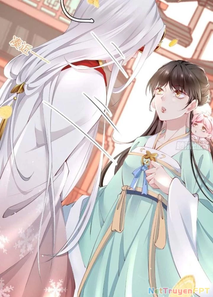 Thiên Hạ Vô Song Chapter 34 - Trang 2