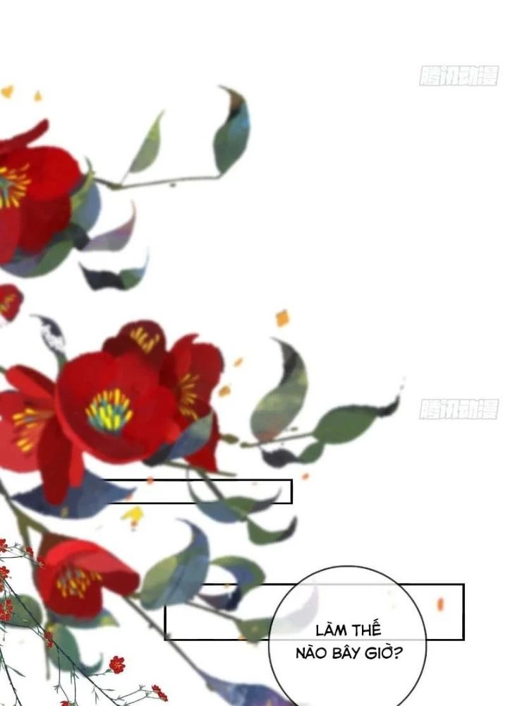 Thiên Hạ Vô Song Chapter 35 - Trang 2