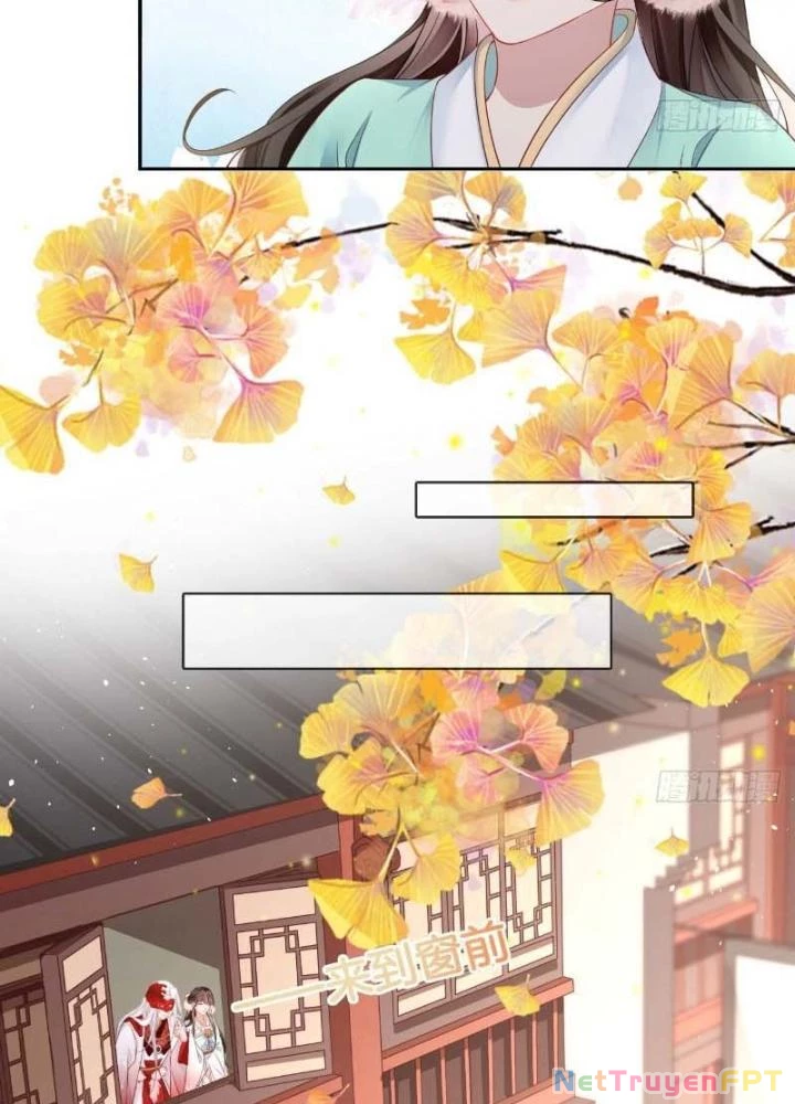 Thiên Hạ Vô Song Chapter 38 - Trang 2