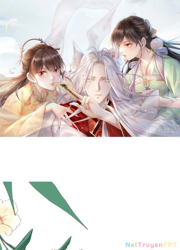 Thiên Hạ Vô Song Chapter 4 - Trang 2