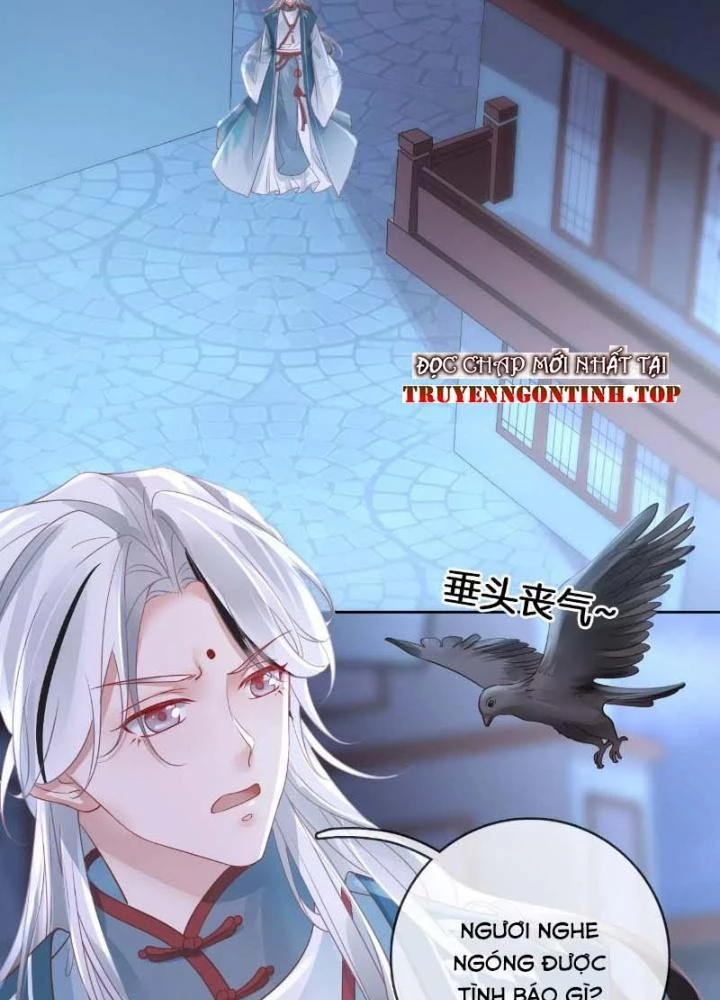 Thiên Hạ Vô Song Chapter 47 - Trang 2