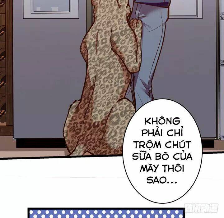 Thiên Hậu Trở Về Chapter 36 - Trang 2