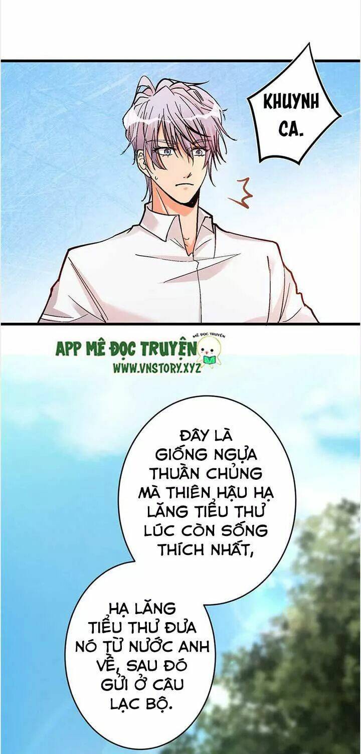 Thiên Hậu Trở Về Chapter 50 - Trang 2