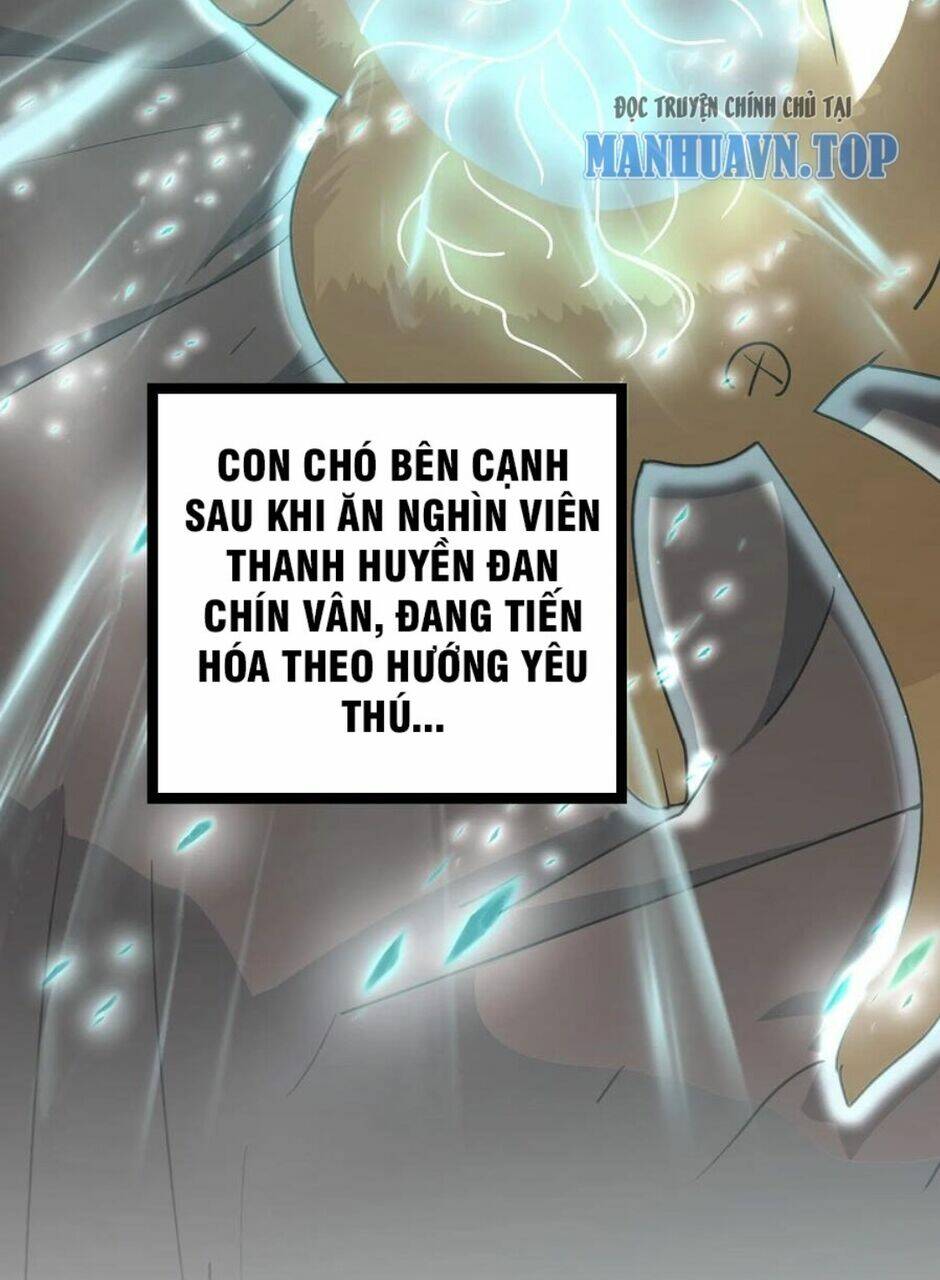 Thiên Khải Bại Gia Chapter 14 - Trang 2