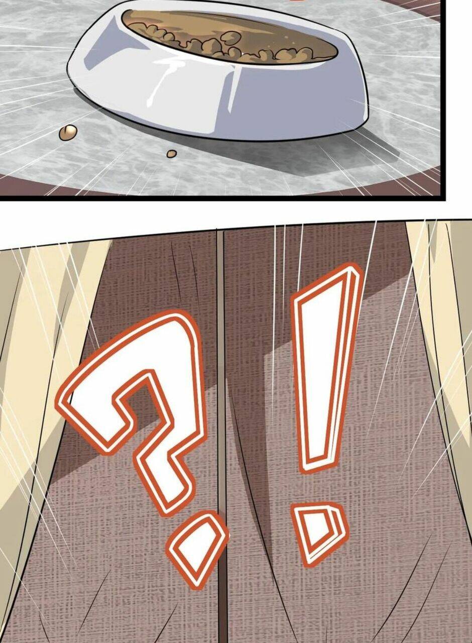 Thiên Khải Bại Gia Chapter 15 - Trang 2