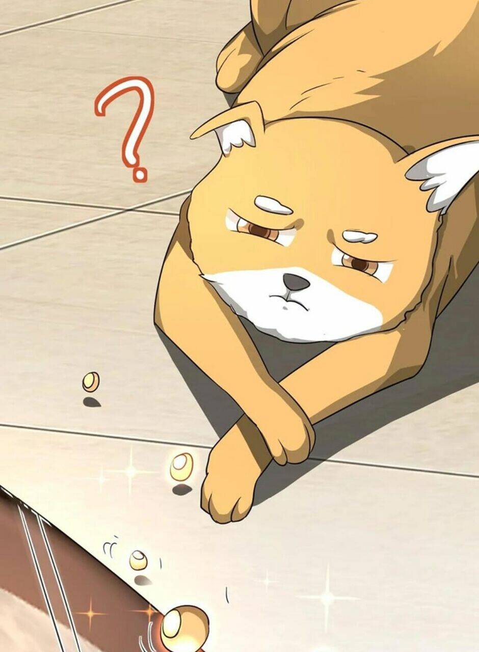 Thiên Khải Bại Gia Chapter 17 - Trang 2