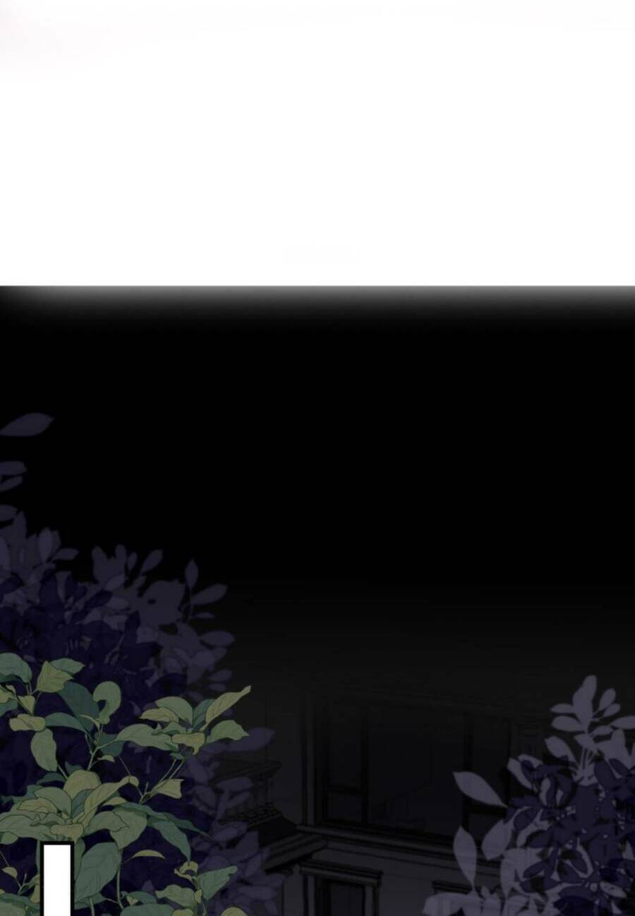 Thiên Kim Mù Phá Sản Và Tổng Tài Diêm Vương Chapter 35 - Trang 2