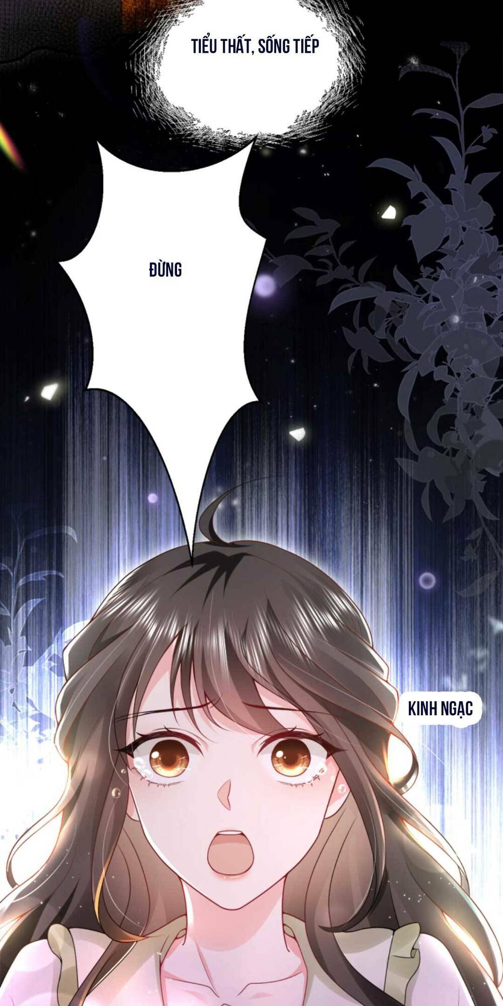 Thiên Kim Mù Phá Sản Và Tổng Tài Diêm Vương Chapter 6 - Trang 2