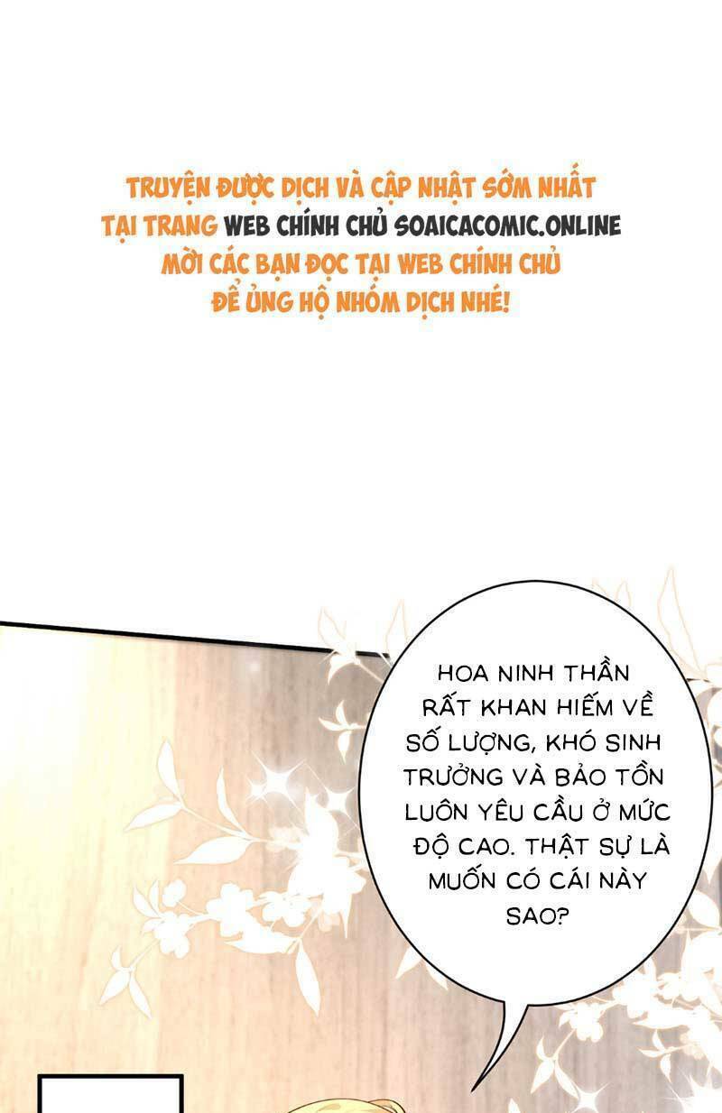 Thiên Kim Toàn Năng Đại Tài Chapter 126 - Trang 2