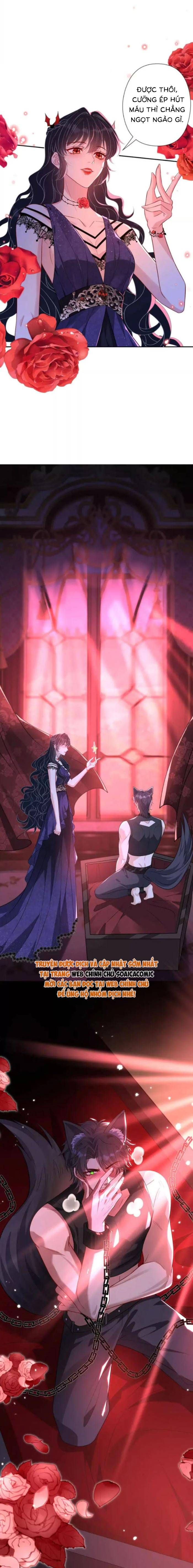 Thiên Kim Toàn Năng Đại Tài Chapter 2.1 - Trang 2