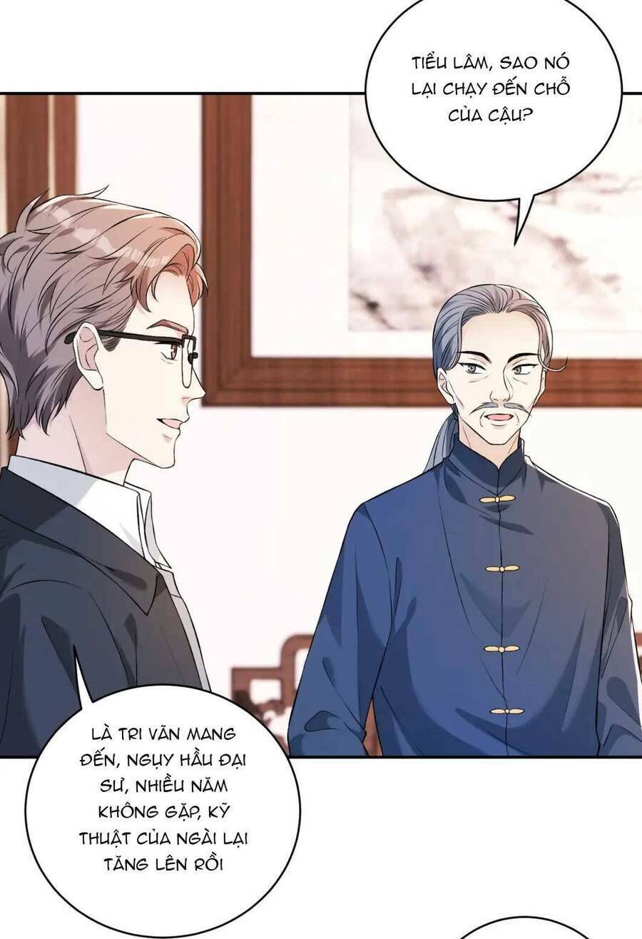 Thiên Kim Toàn Năng Đại Tài Chapter 52 - Trang 2