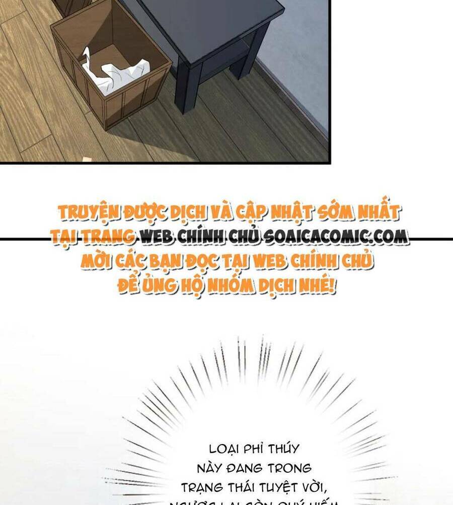 Thiên Kim Toàn Năng Đại Tài Chapter 75 - Trang 2