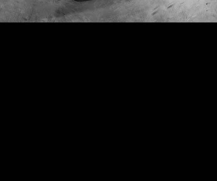 Thiên Ma Phi Thăng Truyện Chapter 48 - Trang 2