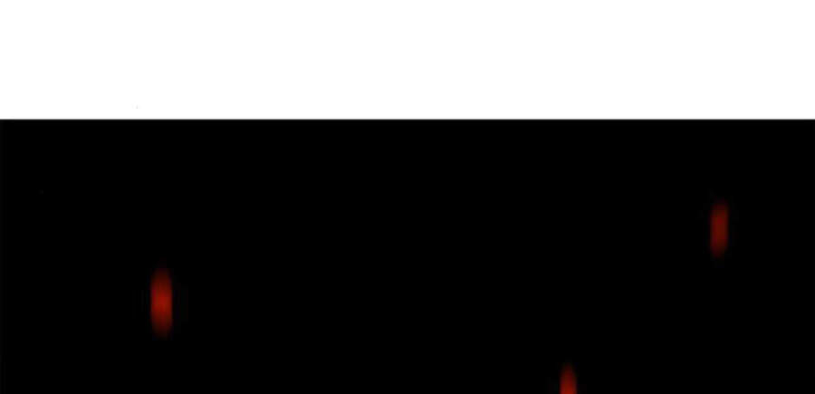 Thiên Ma Thần Quyết Trùng Sinh Chapter 14 - Trang 2