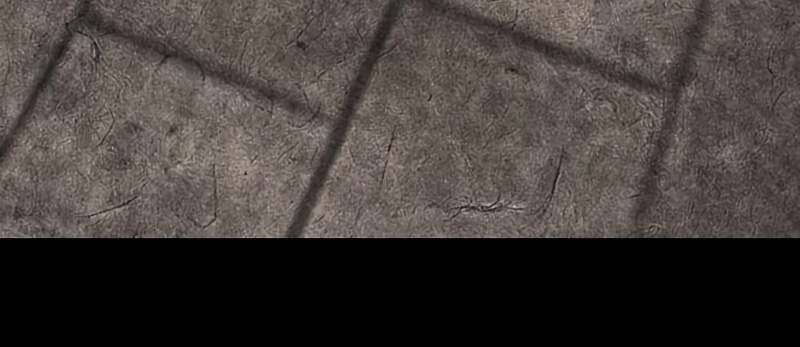 Thiên Ma Thần Quyết Trùng Sinh Chapter 40 - Trang 2