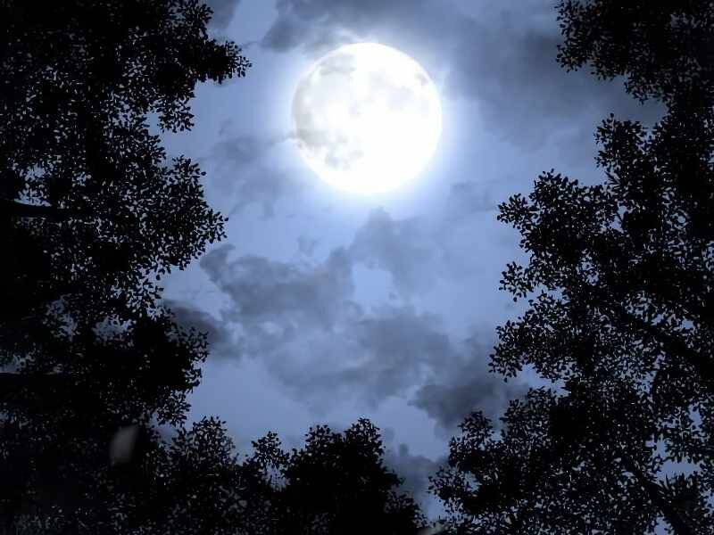 Thiên Ma Thần Quyết Trùng Sinh Chapter 43.5 - Trang 2