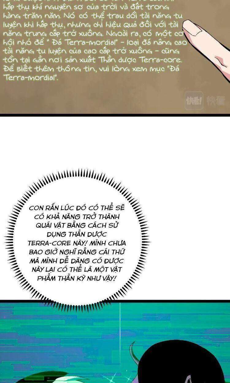 Thiên Phú Của Ngươi, Giờ Là Của Ta Chapter 13 - Trang 2