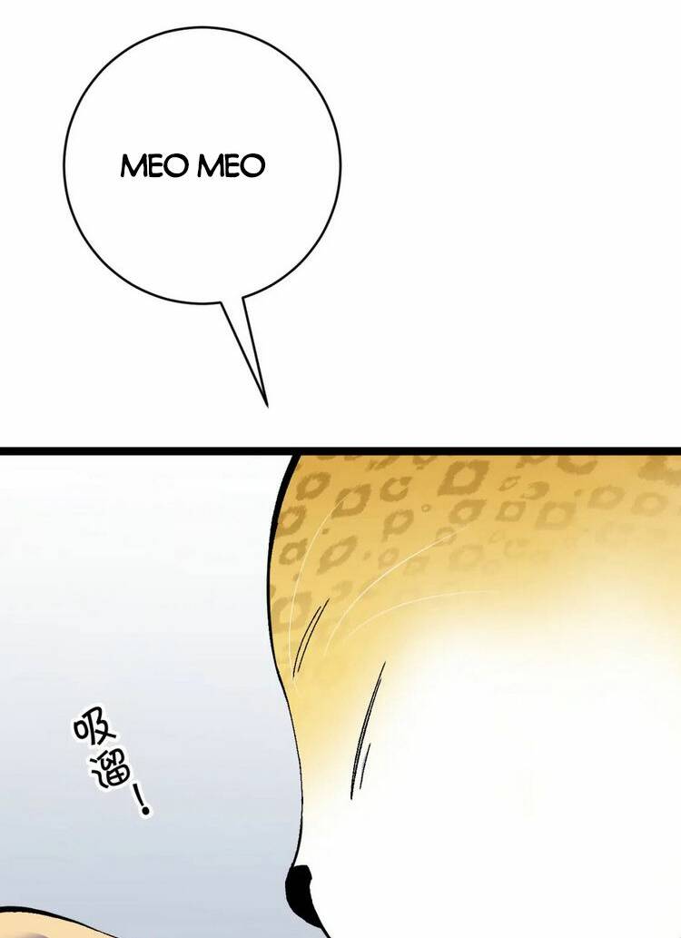 Thiên Phú Của Ngươi, Giờ Là Của Ta Chapter 45 - Trang 2