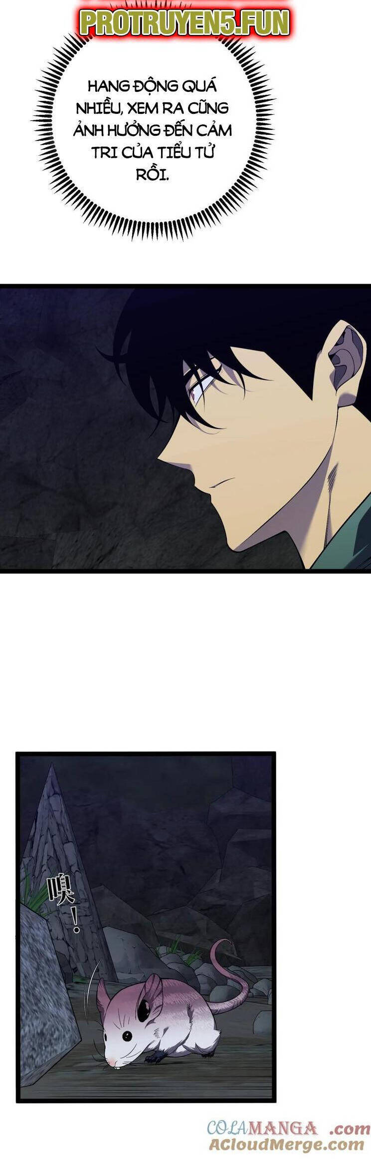 Thiên Phú Của Ngươi, Giờ Là Của Ta Chapter 79 - Trang 2