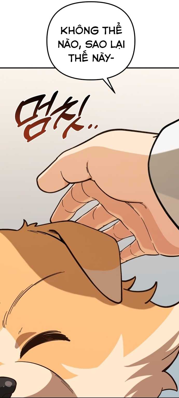 Thiên Tài Bình Dị Chapter 1 - Trang 2