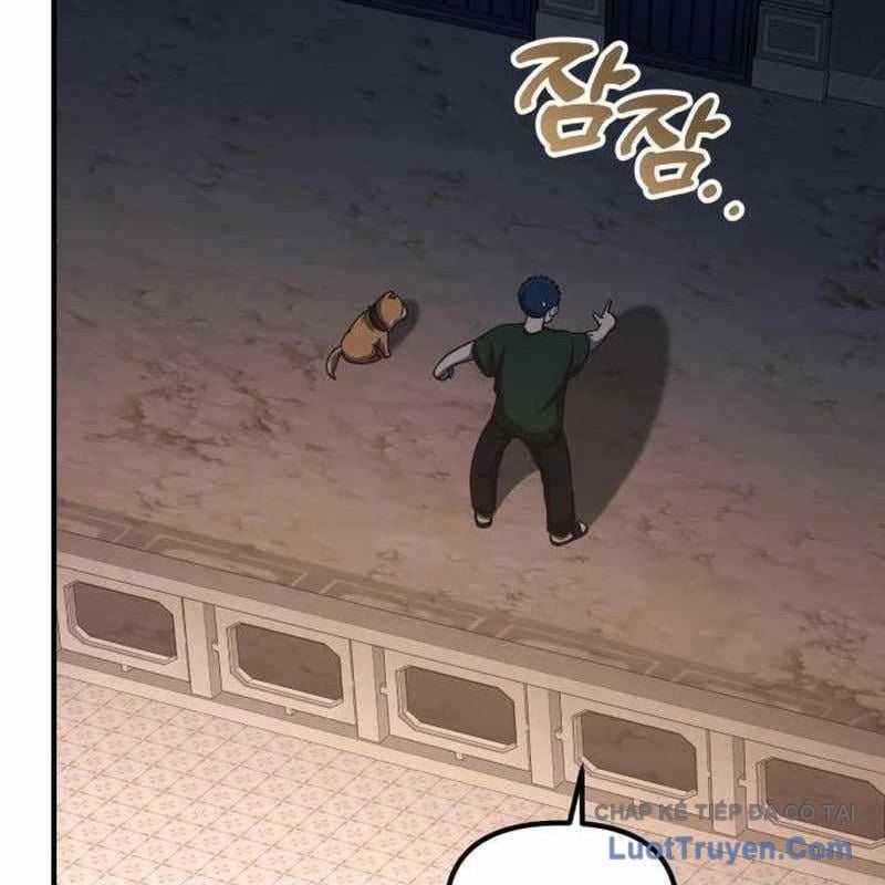 Thiên Tài Bình Dị Chapter 51 - Trang 2