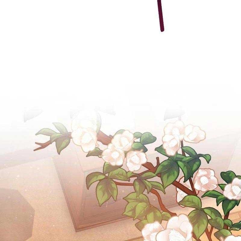 Thiên Tài Bình Dị Chapter 7 - Trang 2