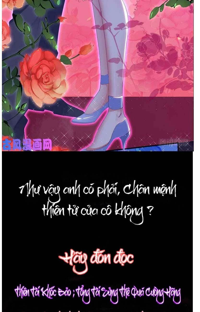 Thiên Tài Khốc Bảo: Tổng Tài Sủng Thê Quá Cường Hãn Chapter 0 - Trang 2