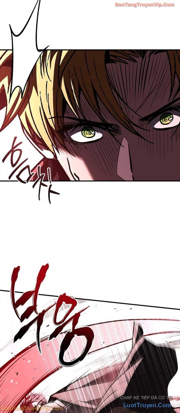 Thiên Tài Ma Pháp Sư Giấu Nghề Chapter 118 - Trang 2