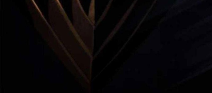Thiên Tài Ma Pháp Sư Vật Lí Chapter 31 - Trang 2