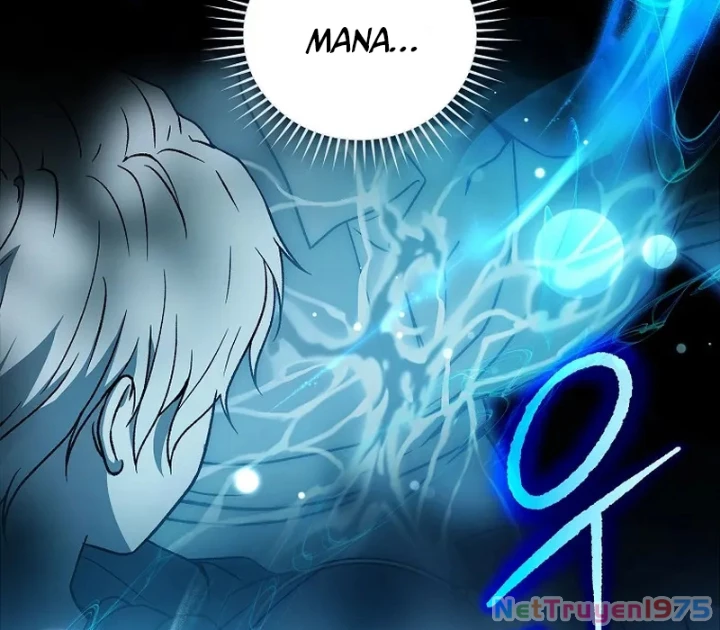 Thiên Tài Phép Thuật Nắm Bắt Khái Niệm Chapter 3 - Trang 2