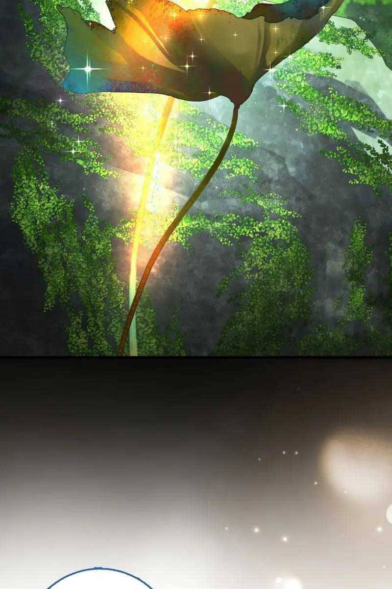 Thiên Tài Võ Thuật Hồi Quy Chapter 25 - Trang 2