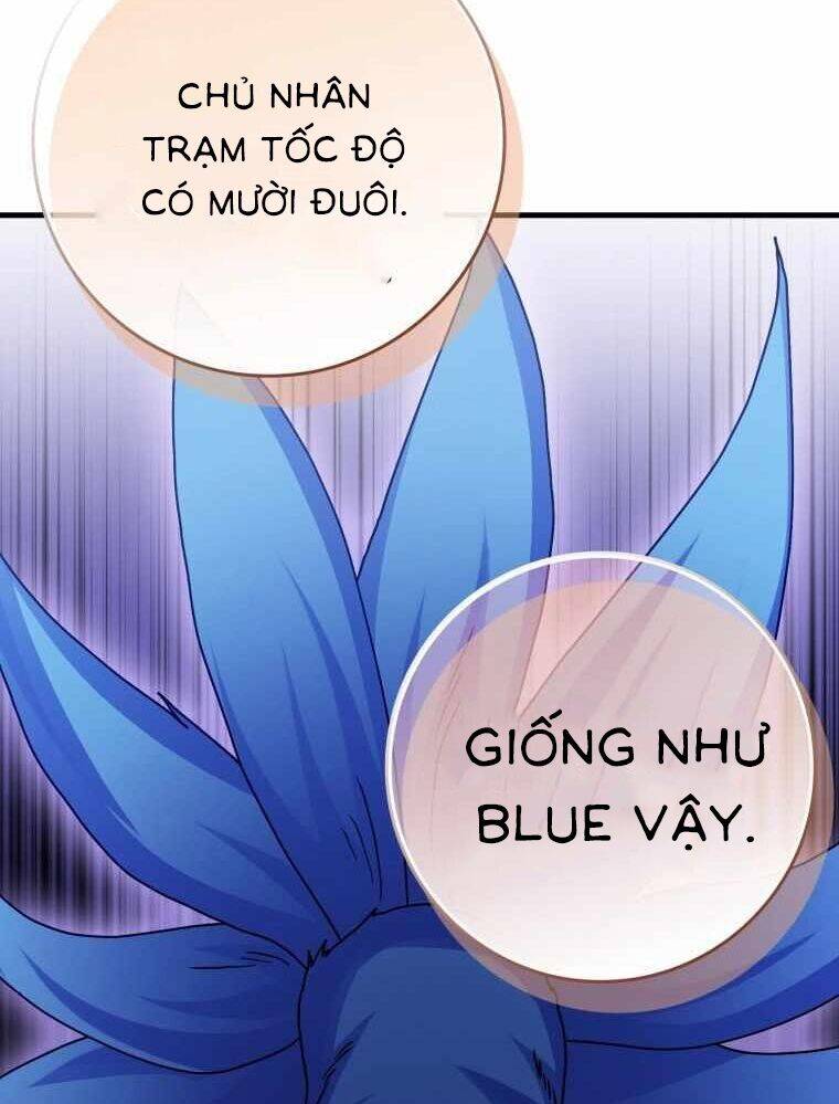 Thiên Tài Võ Thuật Hồi Quy Chapter 33 - Trang 2