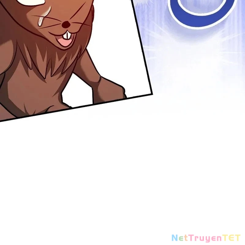 Thiên Tài Võ Thuật Hồi Quy Chapter 79 - Trang 2